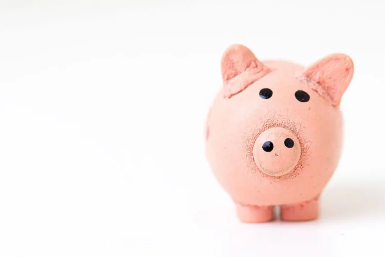 An image of a piggy bank.